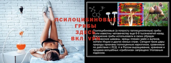 индика Наволоки