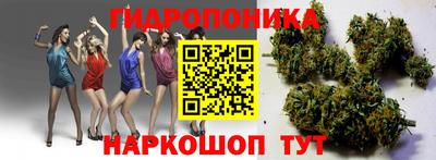 стафф Краснодар
