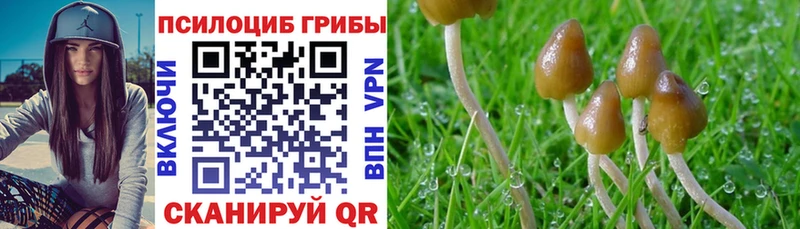 Галлюциногенные грибы мухоморы  Миллерово 