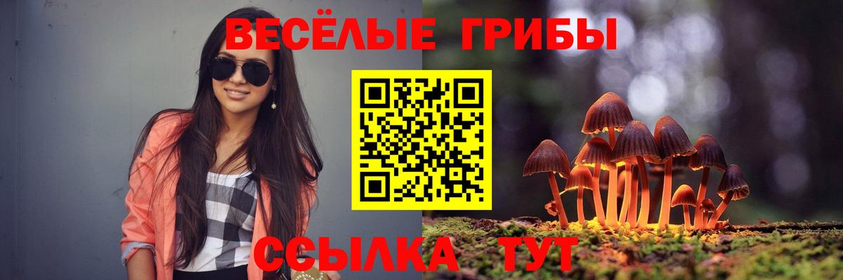 Псилоцибиновые грибы MAGIC MUSHROOMS Миллерово