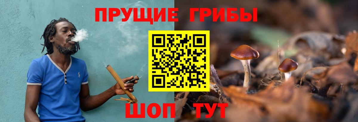 Галлюциногенные грибы Psilocybe  Вход с VPN  купить наркотик  Псилоцибиновые грибы мухоморы  Миллерово 